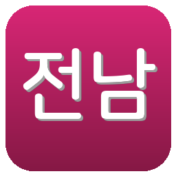 전남 드래곤즈